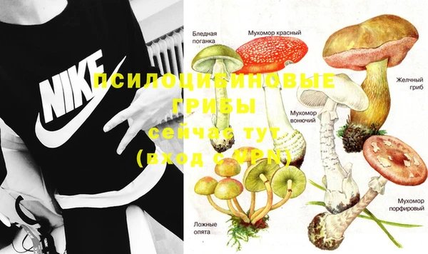 метадон Богородицк